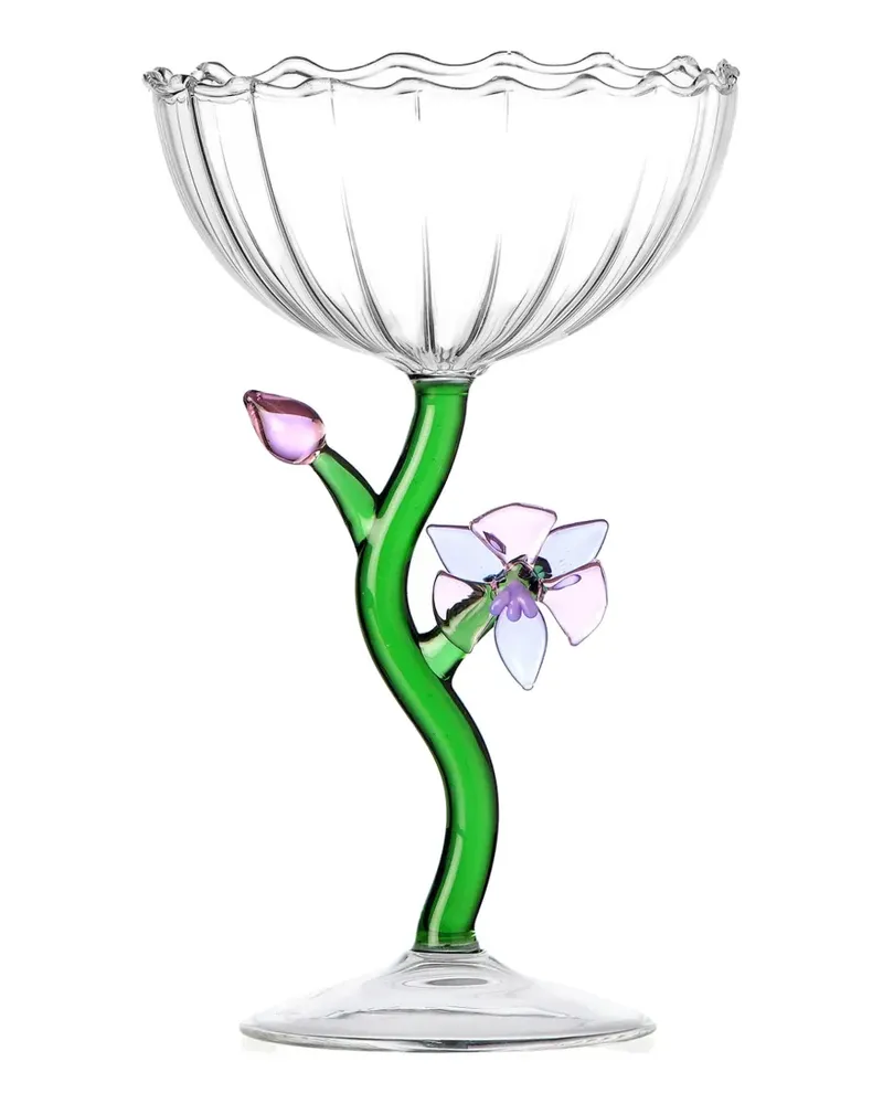 Ichendorf Milano flower champagne glasses (set of six) - Grün Grün