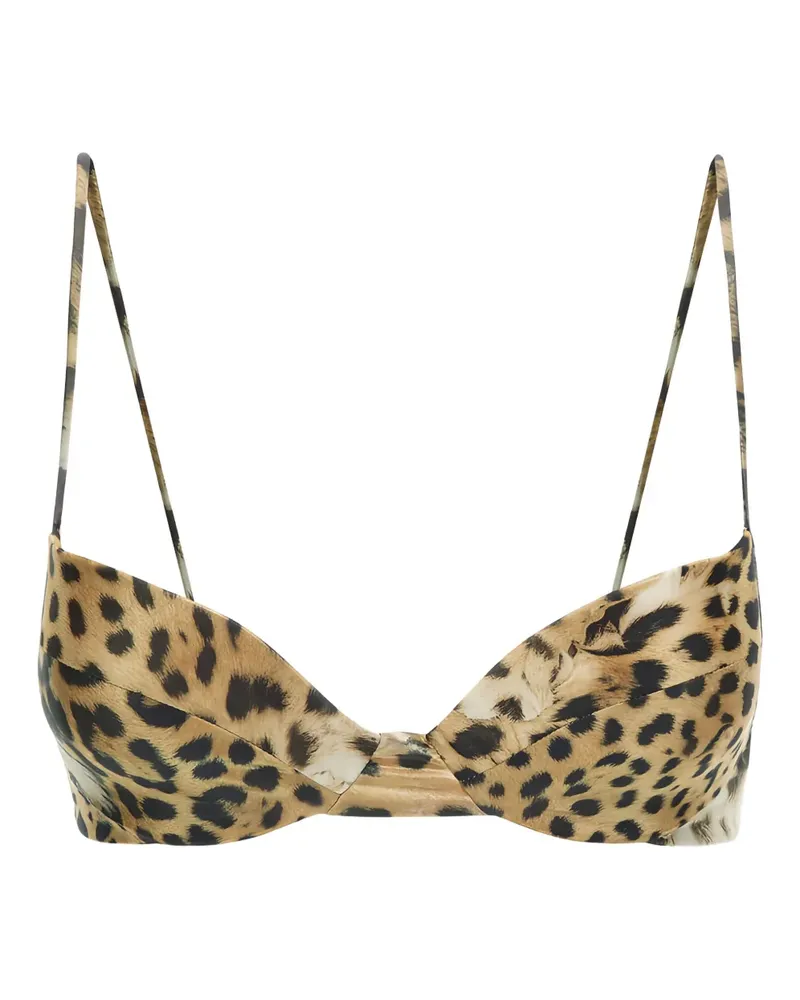 Roberto Cavalli Bikinioberteil mit Leoparden-Print - Braun Braun