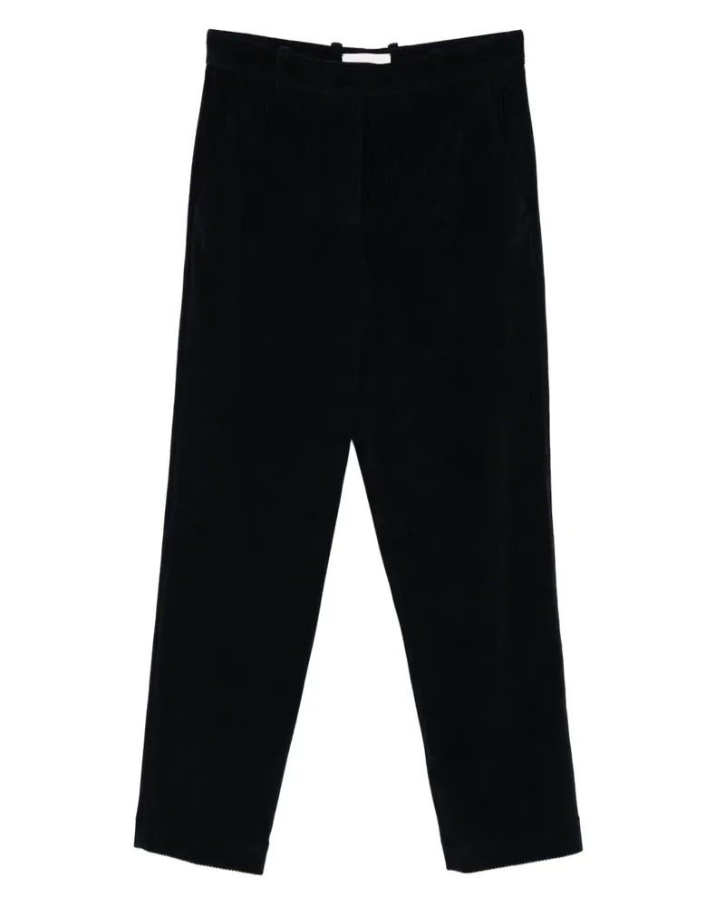 CIRCOLO 1901 Hose aus Cord - Blau Blau