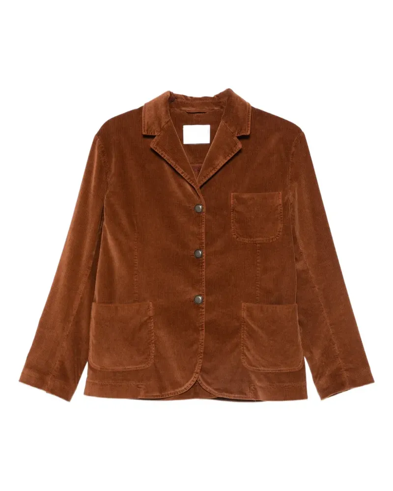 CIRCOLO 1901 Blazer aus Cord - Braun Braun