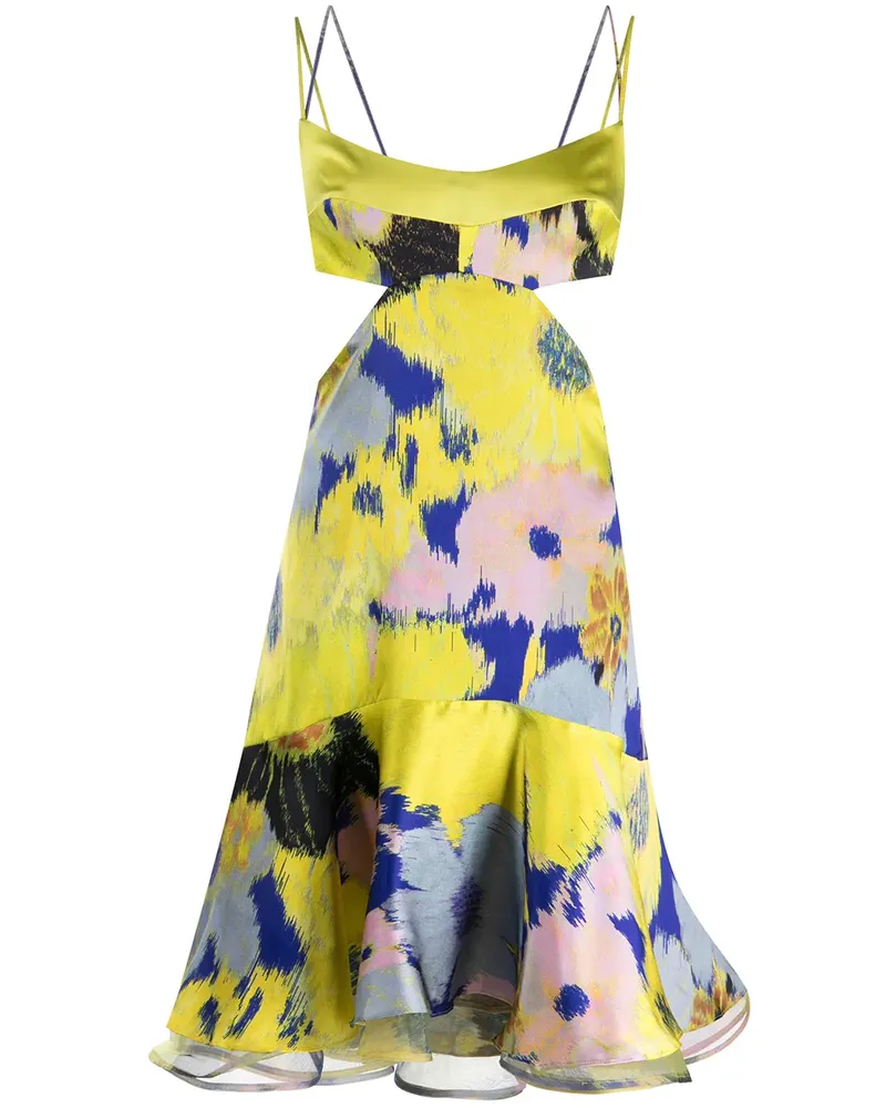 Silvia Tcherassi Analissa Kleid - Mehrfarbig Mehrfarbig