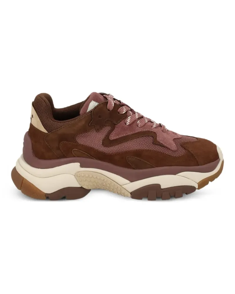 ash Addict Sneakers mit Einsätzen - Braun Braun