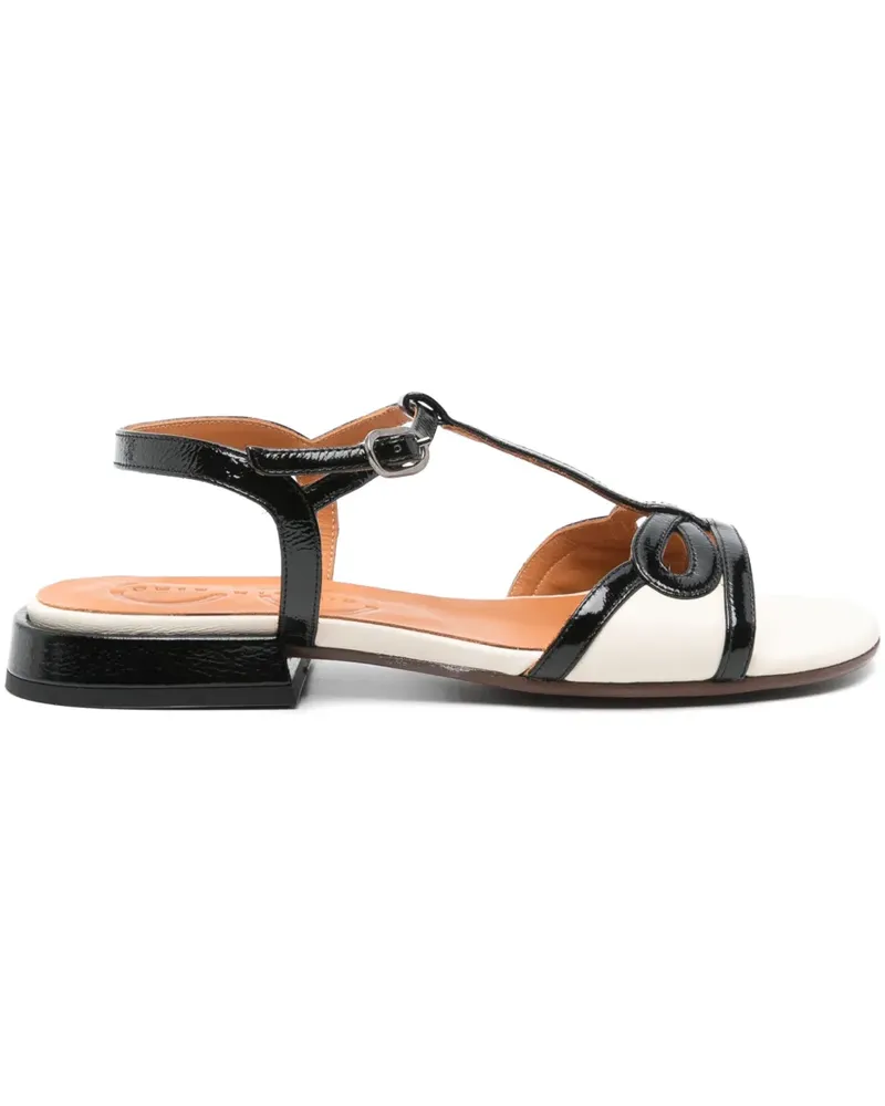 Chie Mihara Torri Sandalen - Schwarz Schwarz