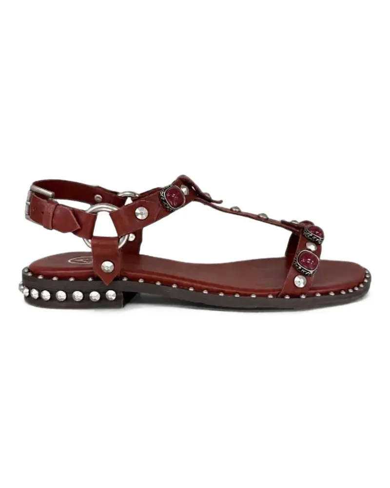 ash Flache Podium Sandalen mit T-Riemen - Rot Rot