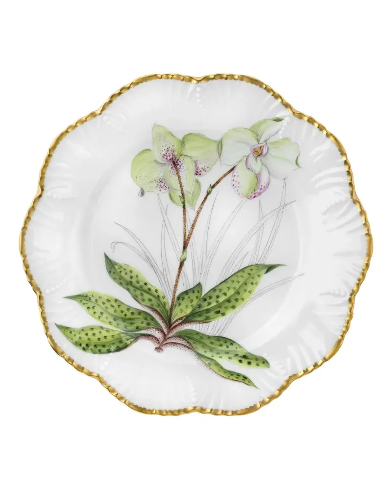 Pinto Paris Histoires D'orchidees Teller 26cm - Weiß Weiß