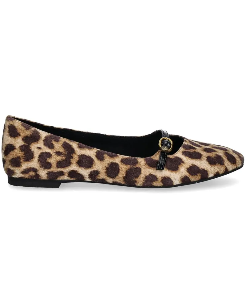 Kurt Geiger Flexi Ballerinas - Braun Braun