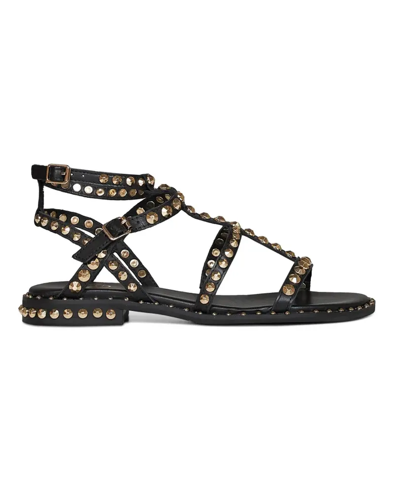 ash stud-embellished gladiator sandals - Schwarz Schwarz