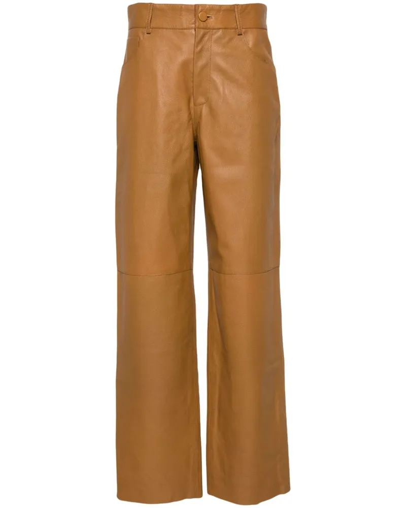AERON Fable Hose - Braun Braun