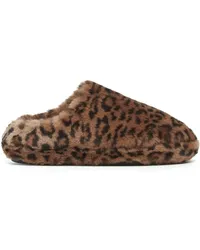 APPARIS Astro Slipper mit Leoparden-Print Braun