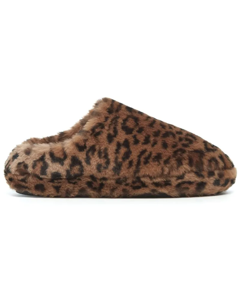 APPARIS Astro Slipper mit Leoparden-Print Braun