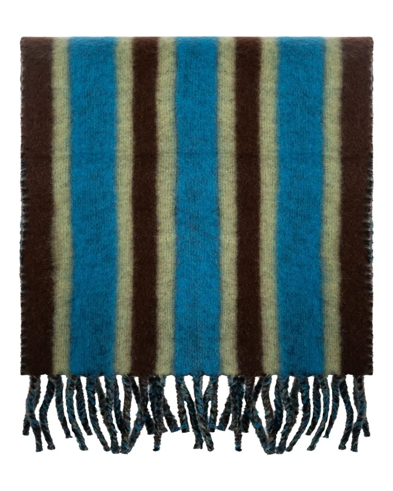 Lanvin striped fringed scarf - Blau Blau