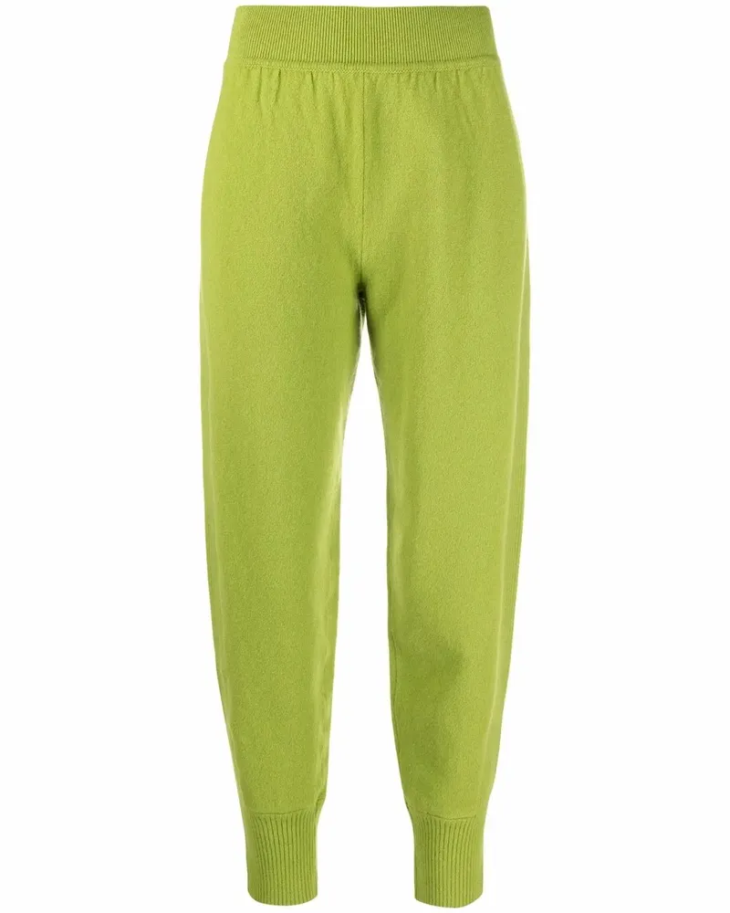 Alberta Ferretti Gestrickte Jogginghose - Grün Grün
