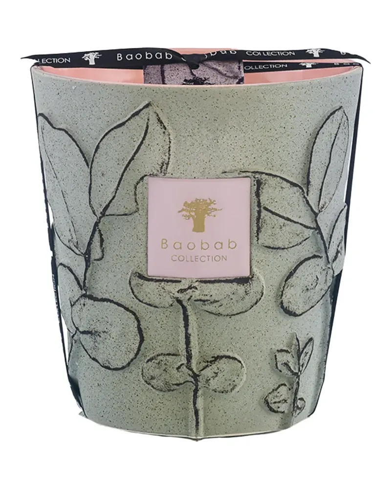 Baobab Collection Folia Maquis Kerze mit Blumenprägung (2,3kg) - Nude Nude