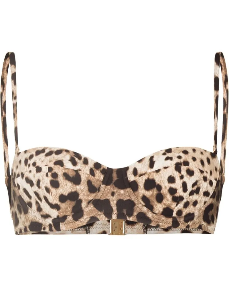 Dolce & Gabbana Bikinioberteil mit Leoparden-Print - Braun Braun