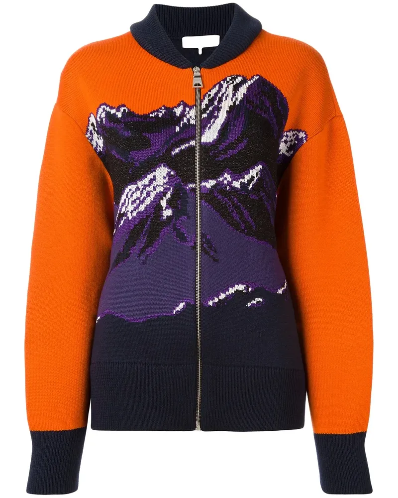 Emilio Pucci Cardigan mit Berg-Print - Gelb Gelb