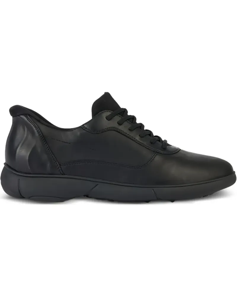 Geox Schnürschuhe - Schwarz Schwarz