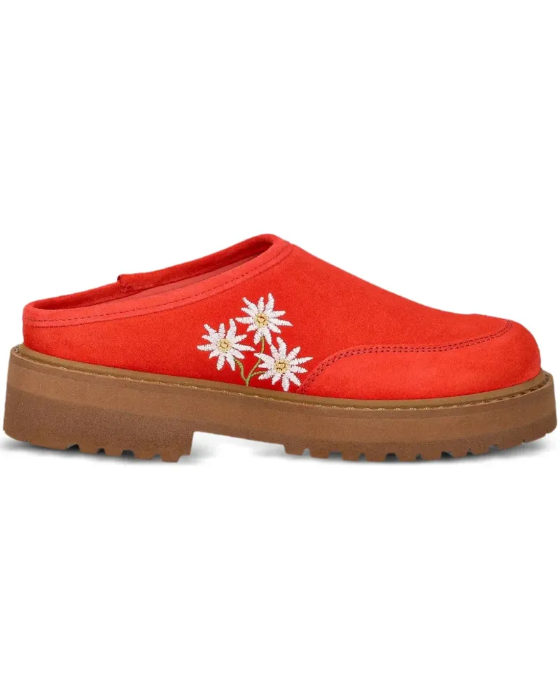 Diemme Maggiore Stella Alpina Plateau-Mules - Orange Orange