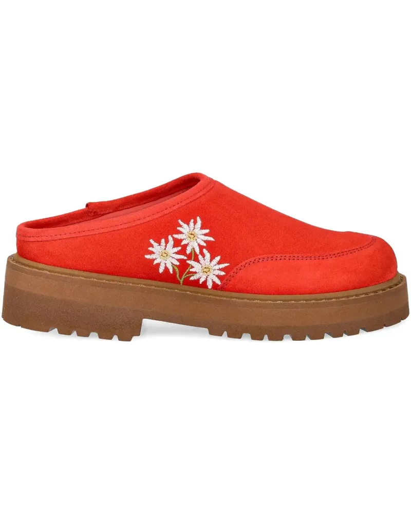 Diemme Maggiore Stella Alpina Plateau-Mules - Orange Orange