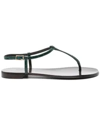 Giuseppe Zanotti Sandalen mit Kroko-Effekt Grün