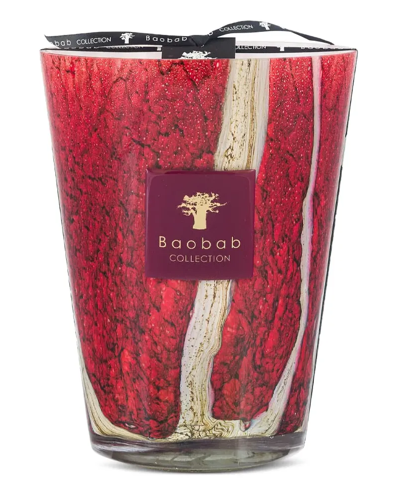 Baobab Collection Woods Risoud Kerze (240ml) - Rot Rot