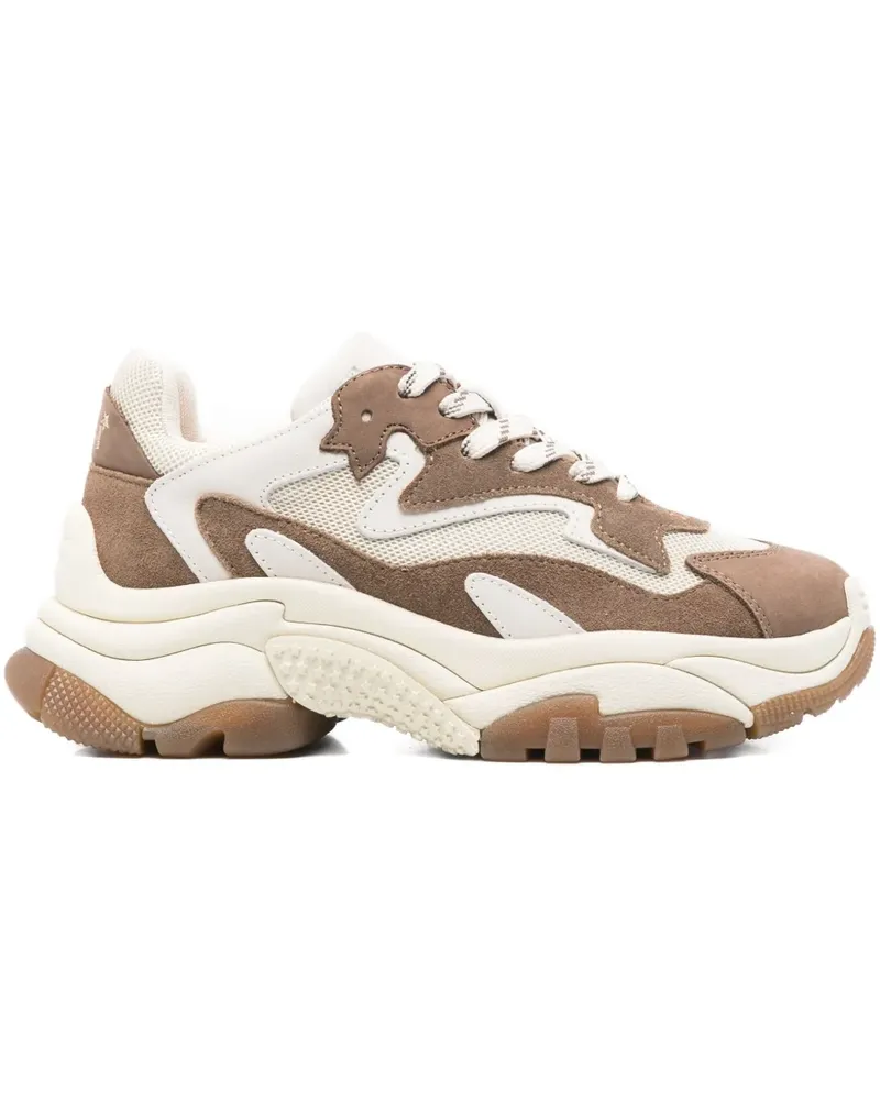 ash Addict Sneakers mit Einsätzen - Braun Braun
