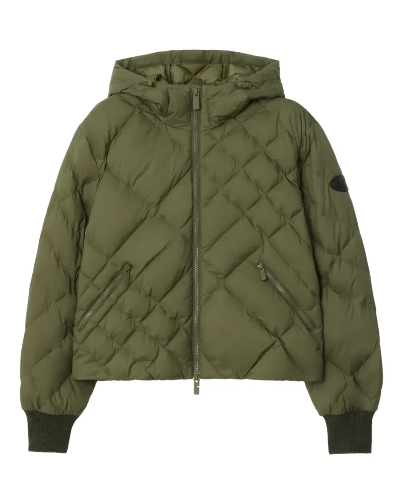 Burberry Delley Steppjacke mit Karomuster - Grün Grün