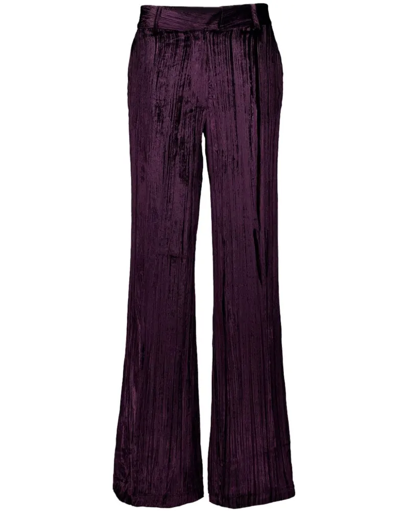 PAULA Plissierte Hose aus Samt - Violett Violett