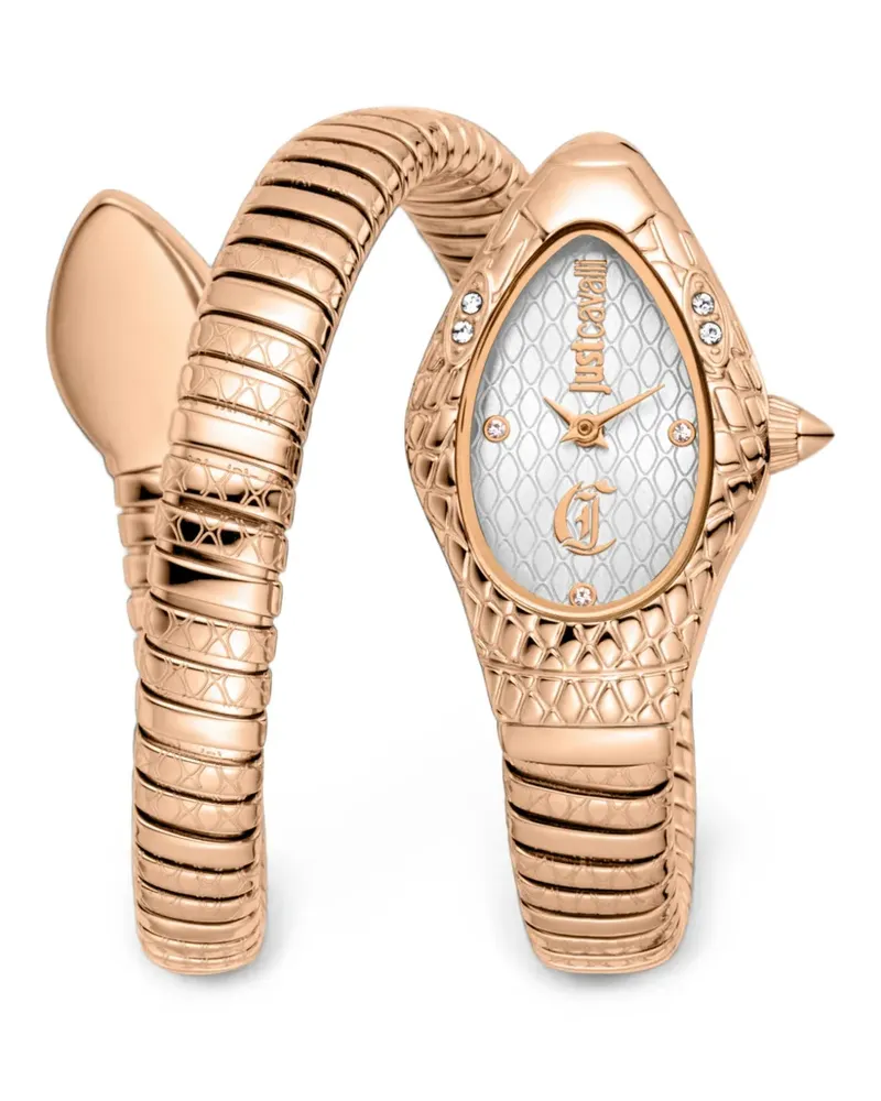 Just Cavalli Vetra 20mm watch - Silber Silber