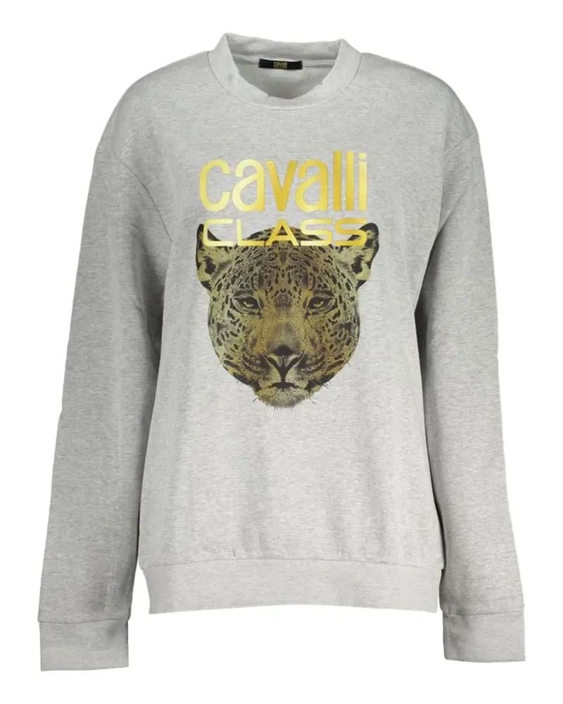 Roberto Cavalli crew-neck sweatshirt - Grau Grau