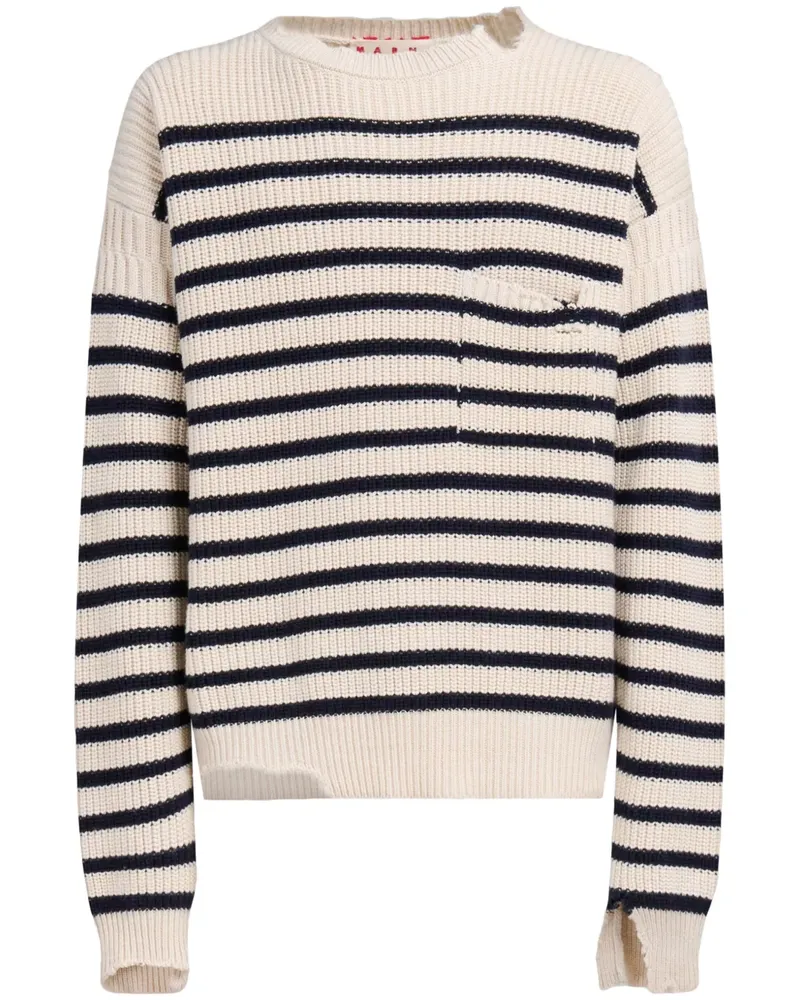 Marni Gestreifter Pullover - Weiß Weiß