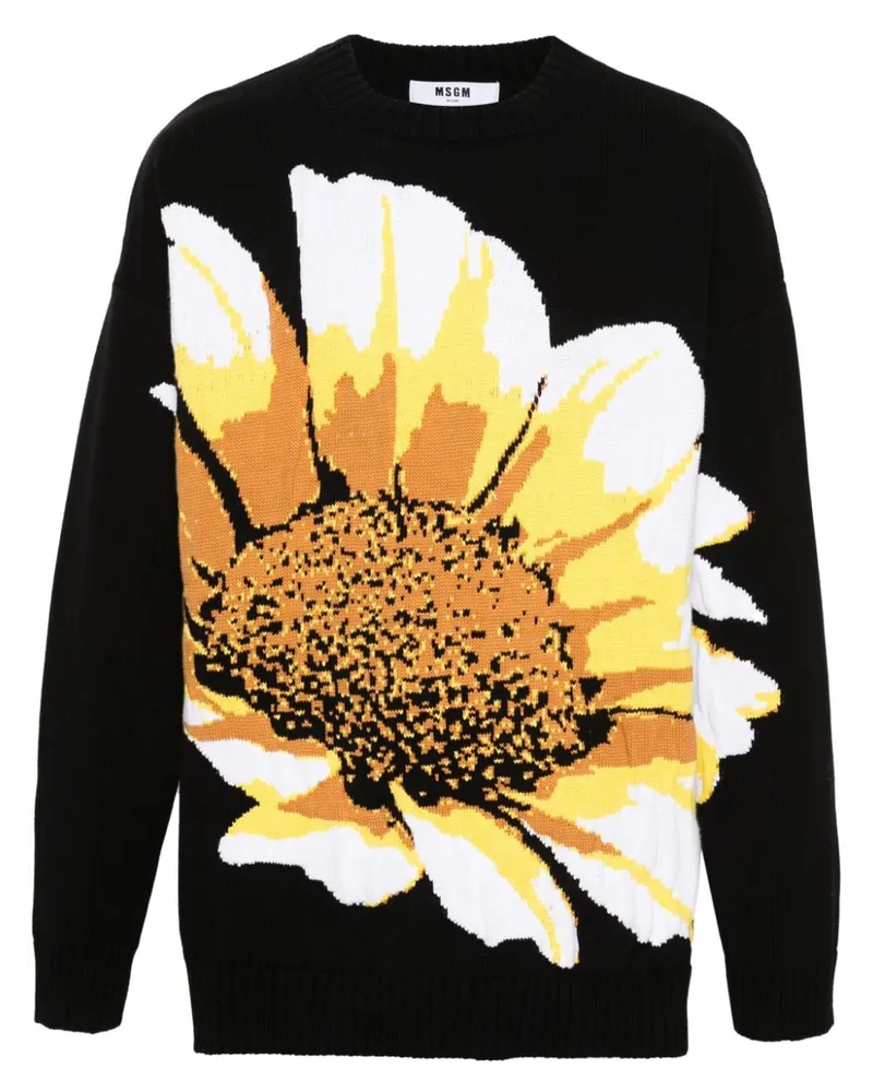 MSGM Intarsien-Pullover mit Blumen Schwarz