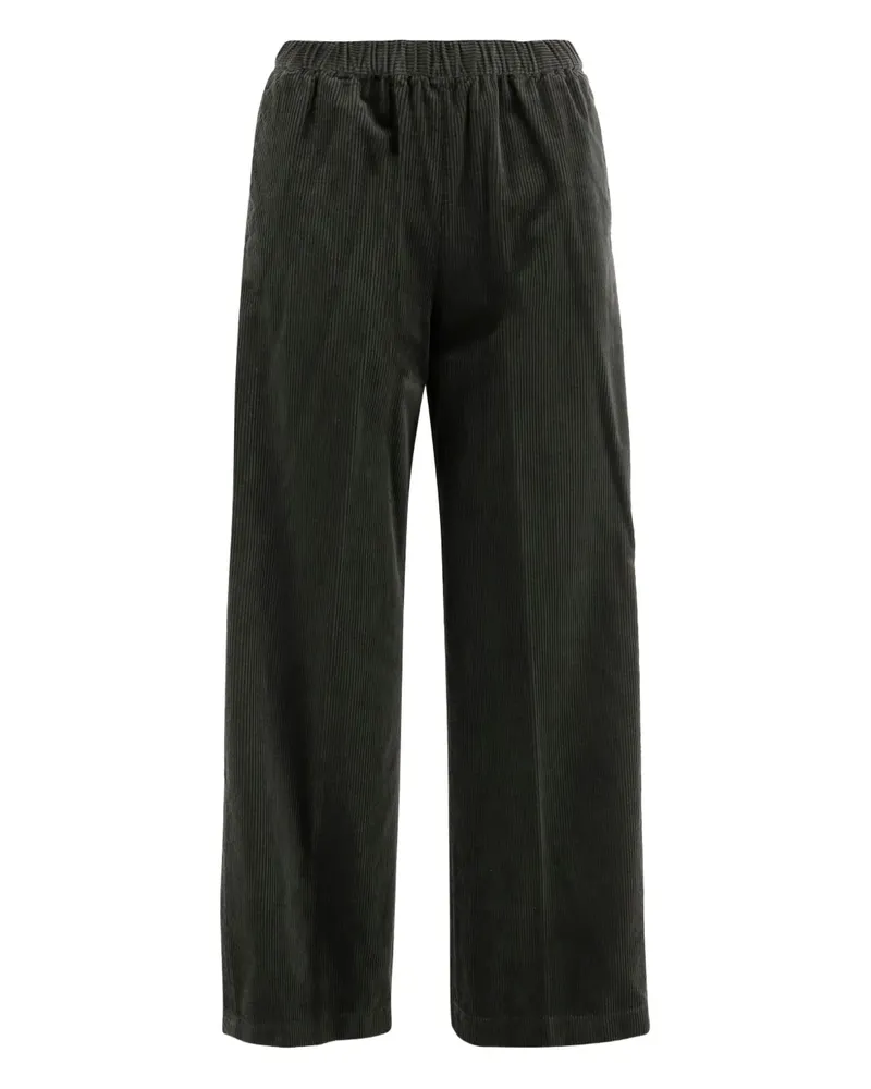 ASPESI Cordhose mit Stretchbund - Grün Grün