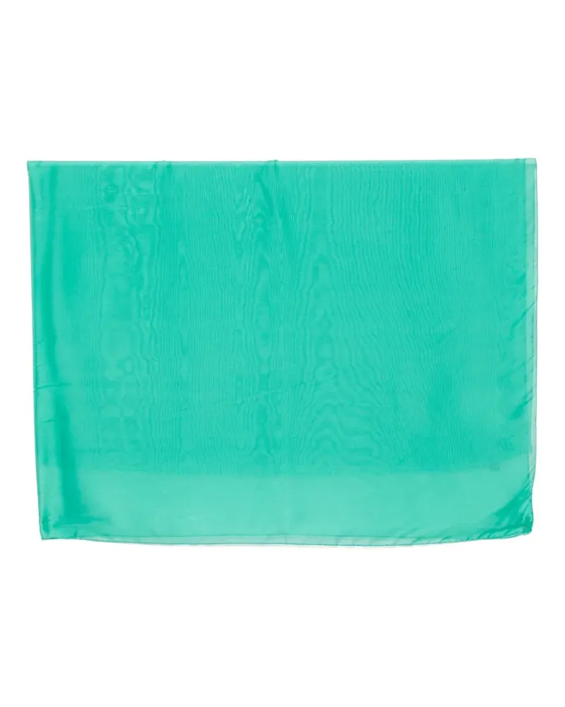 Lady Anne sheer-finish scarf - Grün Grün