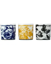 Gucci Kerzen mit Herbarium-Print (Set aus drei Blau