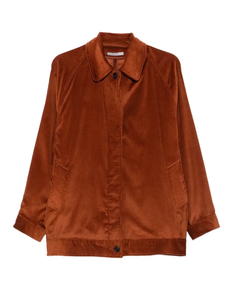 Dušan Cordjacke mit Knopfleiste - Braun Braun