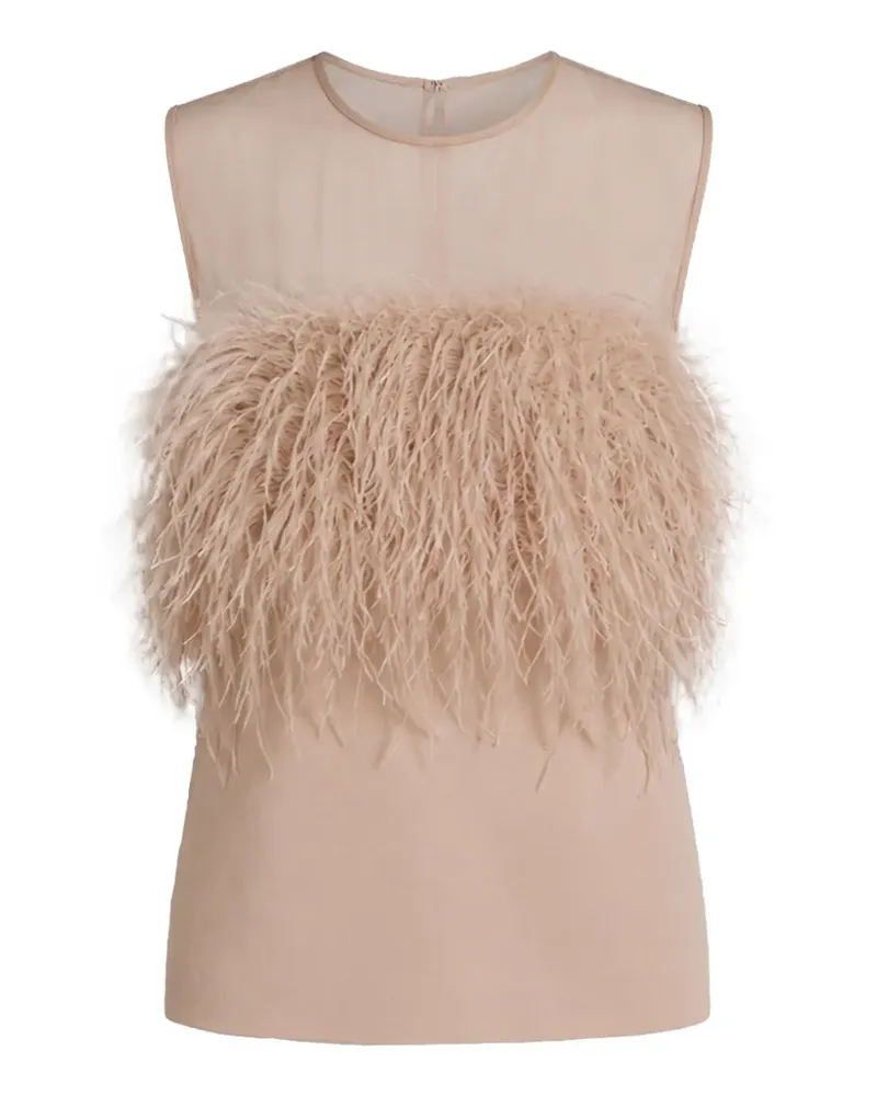 Alberta Ferretti Semi-transparente Bluse mit Federdetail - Rosa Rosa