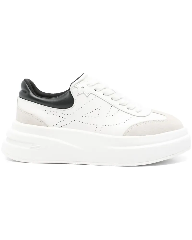 ash Impulse Sneakers - Weiß Weiß