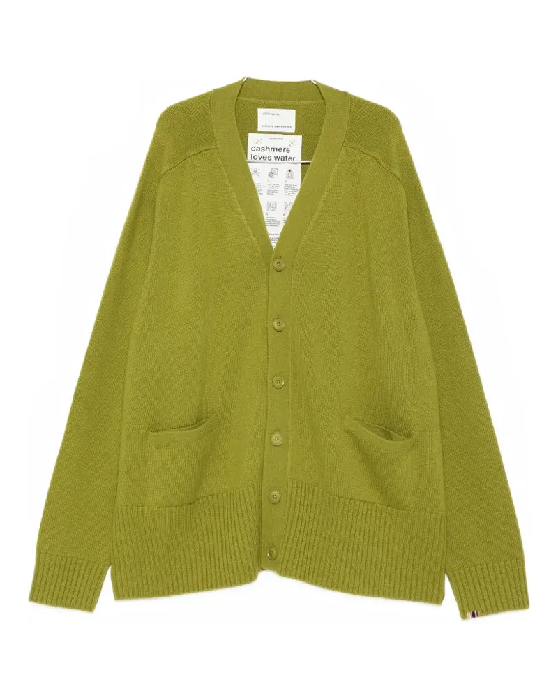 extreme cashmere Taurus pocket cardigan - Grün Grün