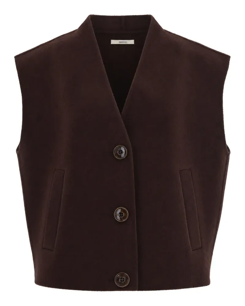 Sessùn v-neck button-up gilet - Braun Braun