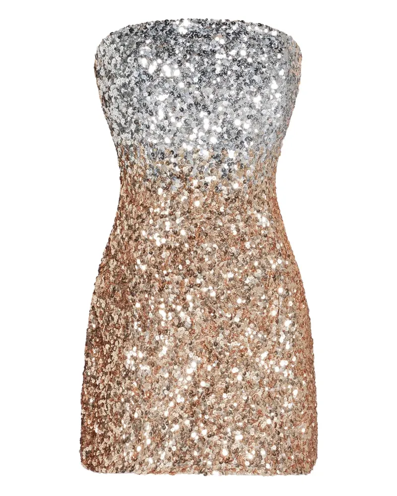 Retrofête Zweifarbiges Minikleid - Silber Silber