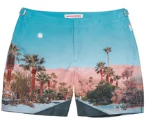 The Webster Badeshorts - Blau
