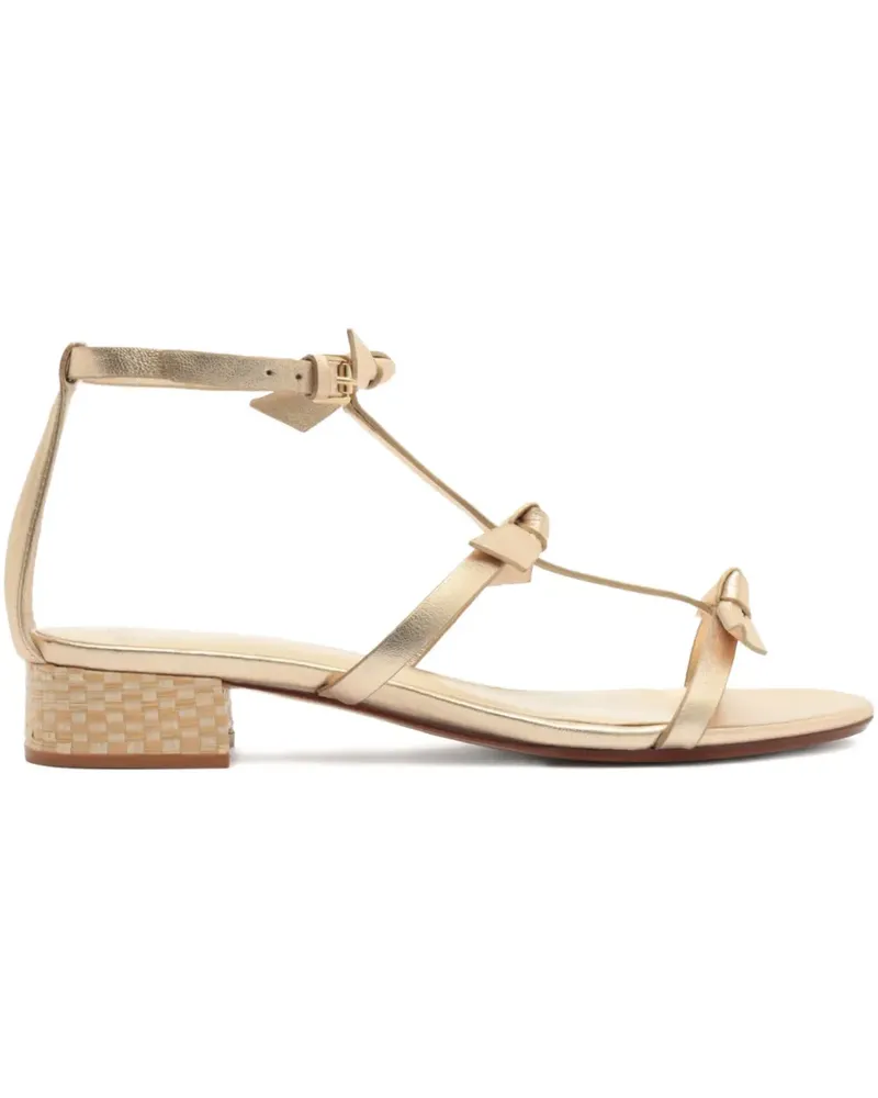Alexandre Birman Slim Lolita Sandalen aus Raffiabast 30mm - Gold Gold