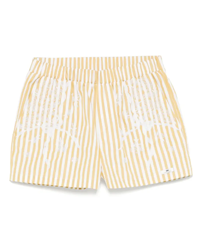 Elisabetta Franchi Gestreifte Shorts - Weiß Weiß