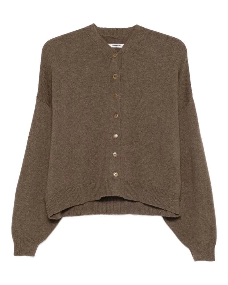 CORDERA merino-wool cardigan - Braun Braun