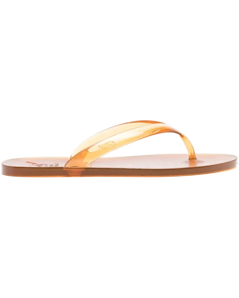 Ancient Greek Sandals Jelly Flip-Flops - Braun Braun