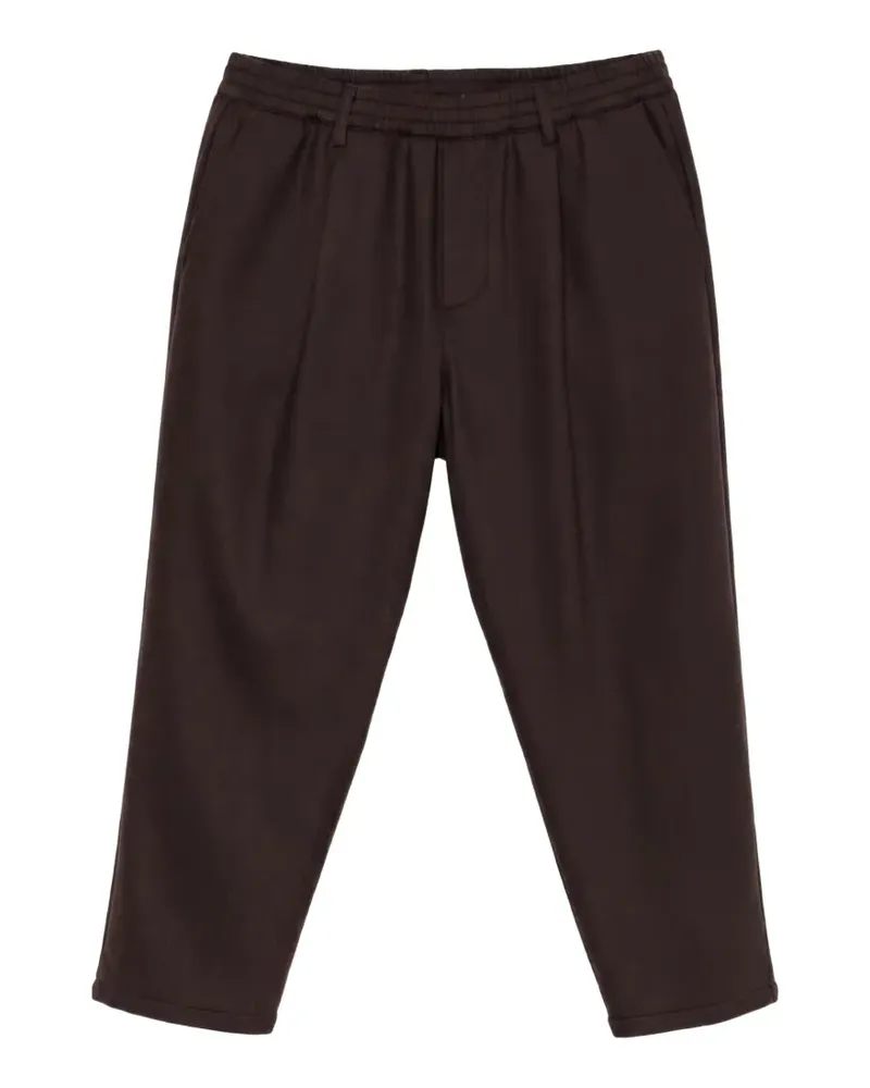 Eleventy Plissierte Hose mit Stretchbund - Braun Braun