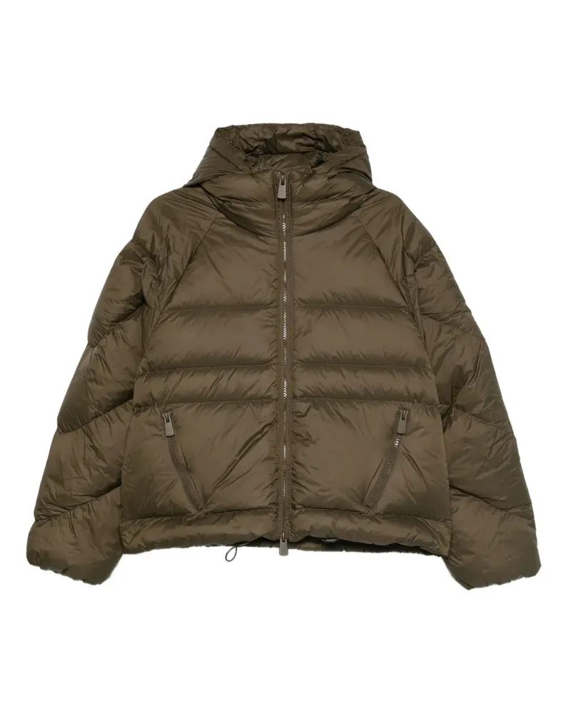 Bacon W Owl hooded zip jacket - Grün Grün