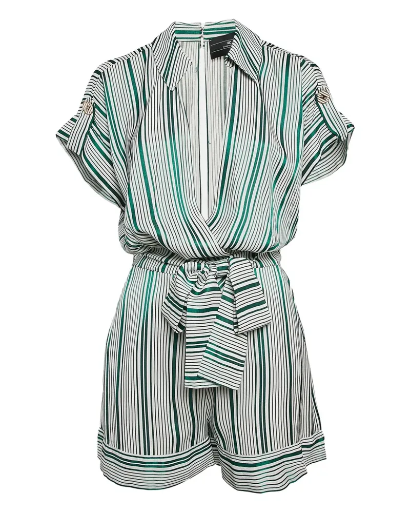Elisabetta Franchi Gestreifter Playsuit - Grün Grün