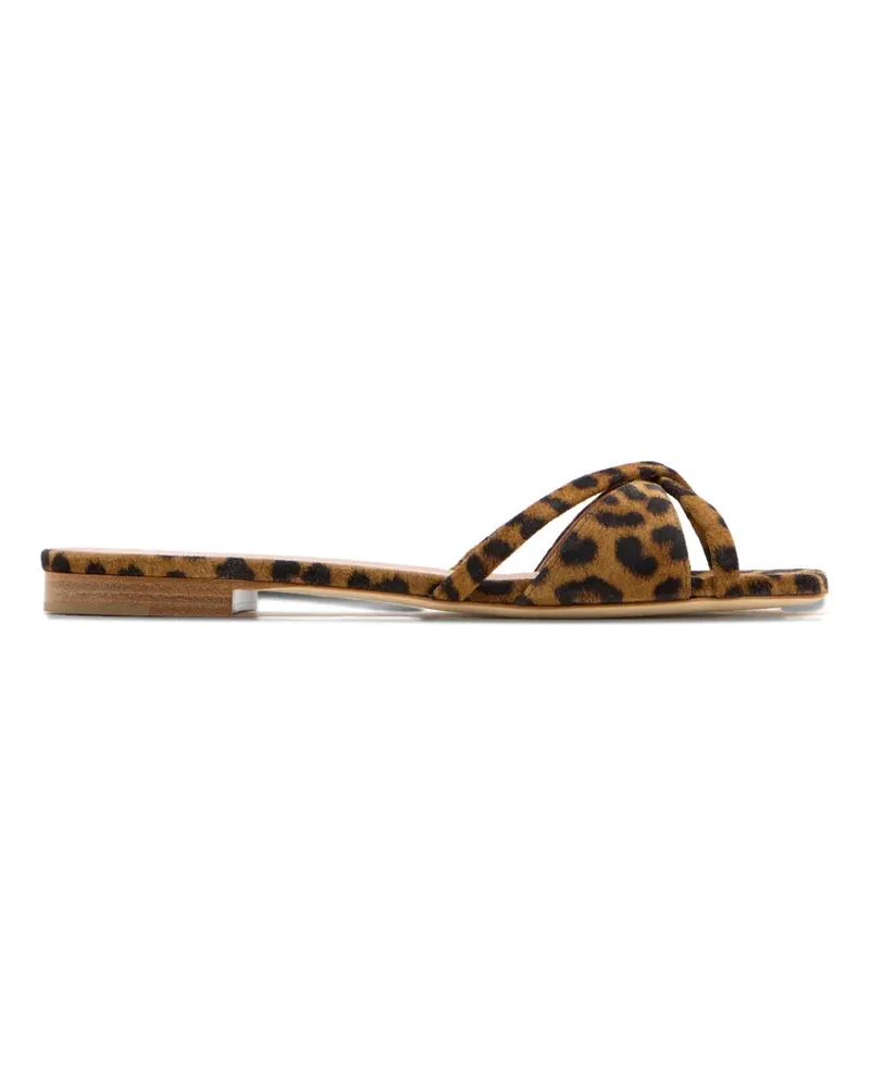 Malone Souliers Penn animal print sandals - Braun Braun
