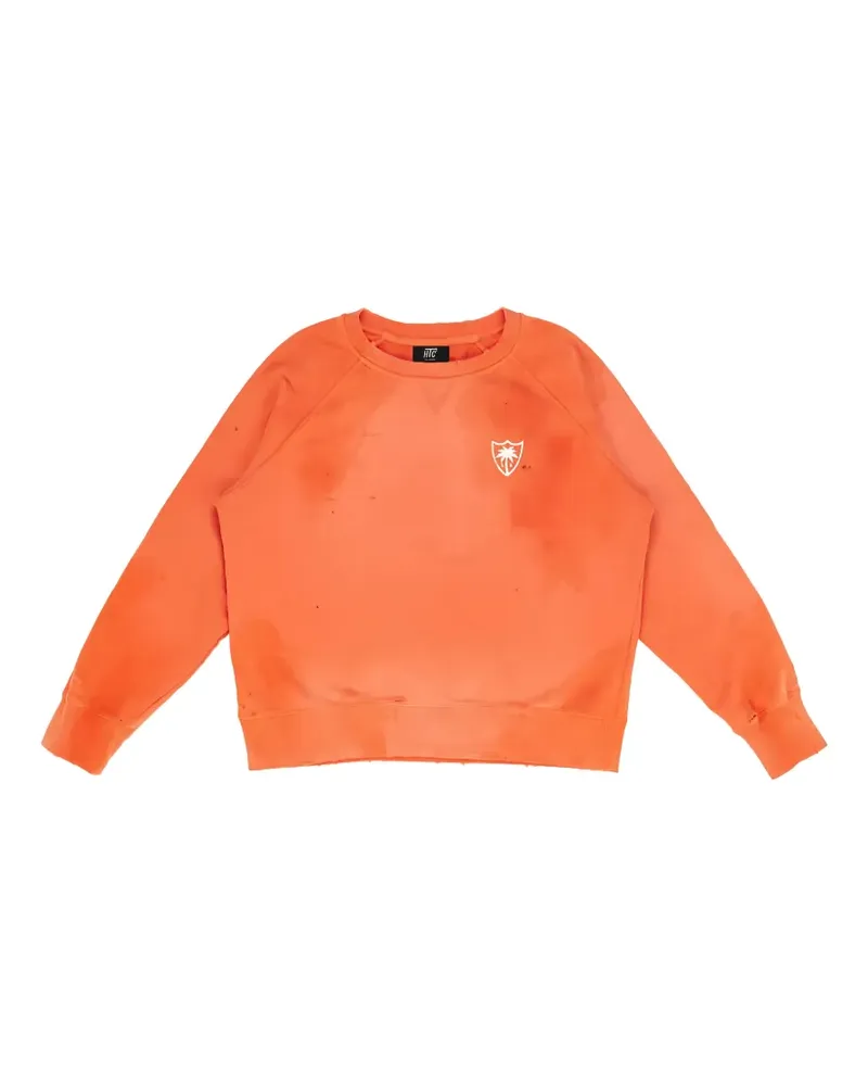 HTC Hollywood Trading Company Lil Palm Distressed-Pullover mit Logo-Print - Orange Orange